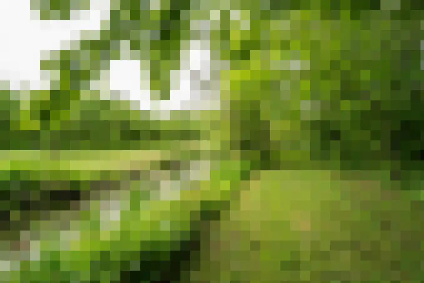 Benedeneindseweg 21 Deil thumbnail 45