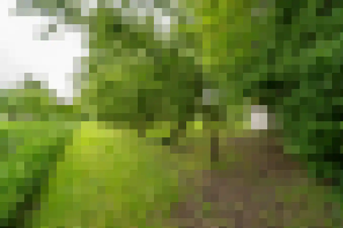 Benedeneindseweg 21 Deil thumbnail 46