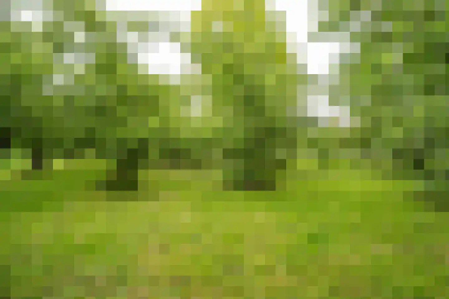 Benedeneindseweg 21 Deil thumbnail 47
