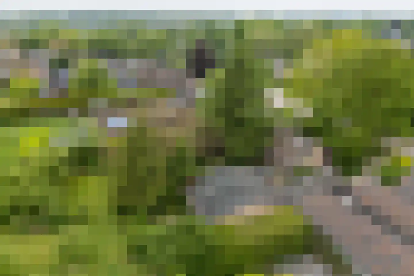 Benedeneindseweg 21 Deil thumbnail 48