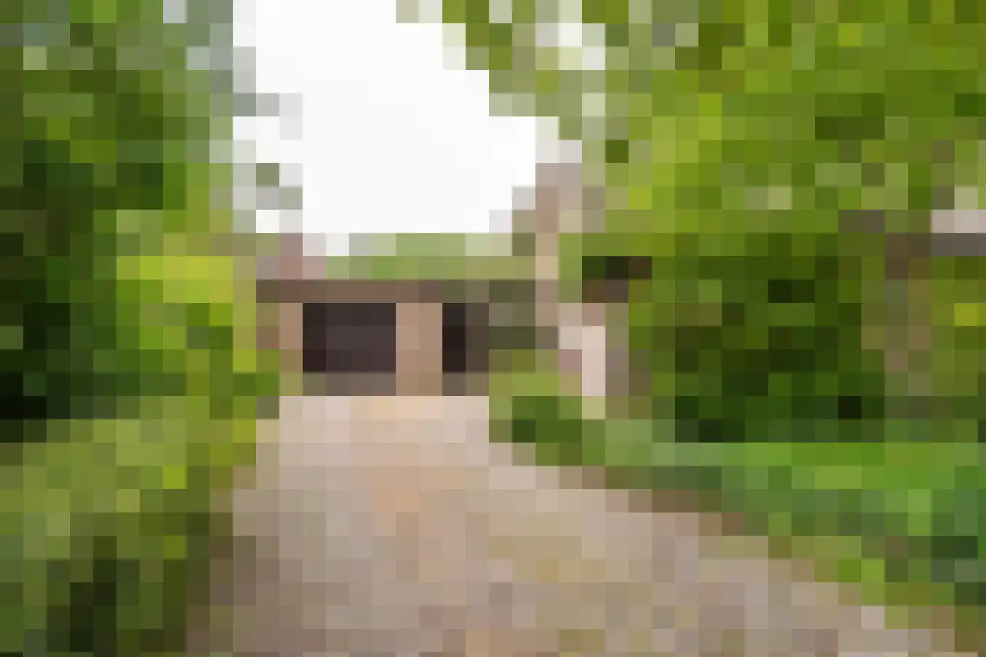 Benedeneindseweg 21 Deil thumbnail 5