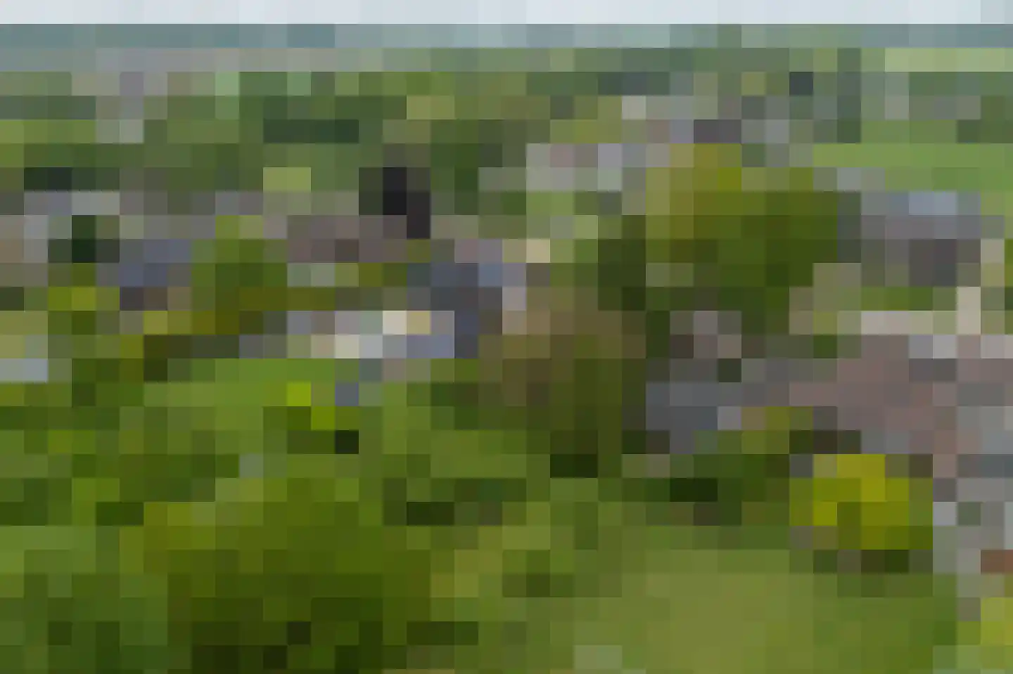 Benedeneindseweg 21 Deil thumbnail 51