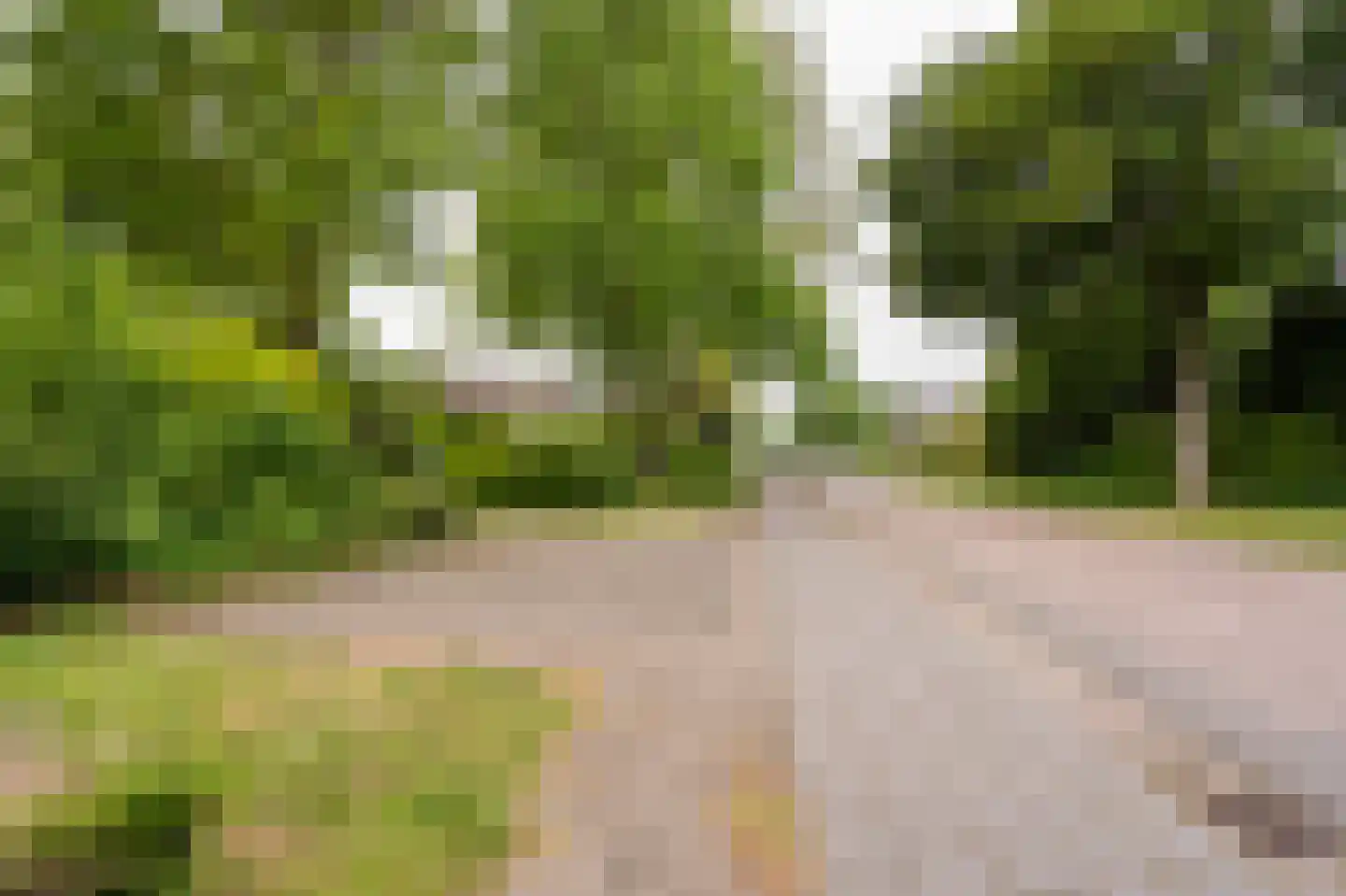 Benedeneindseweg 21 Deil thumbnail 52