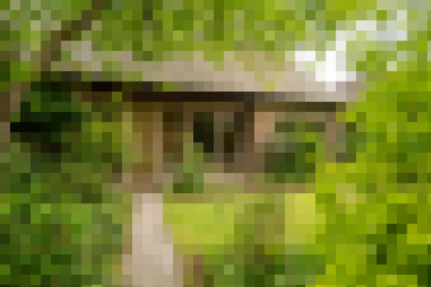 Benedeneindseweg 21 Deil thumbnail 6