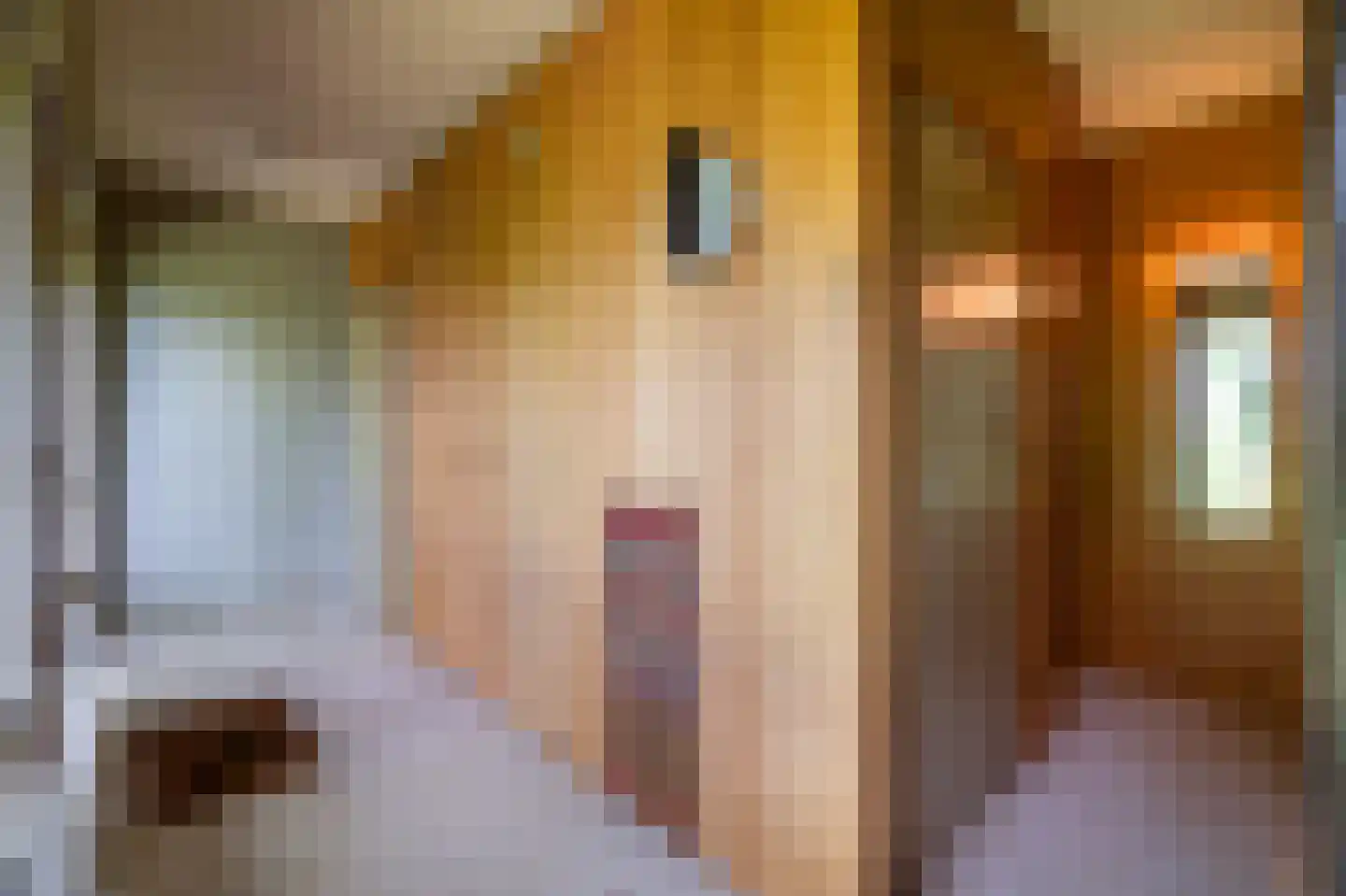 Benedeneindseweg 21 Deil thumbnail 8