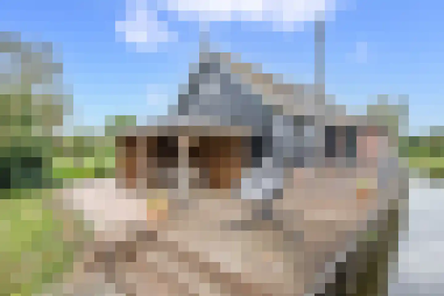 Benedenheulseweg 15 Stolwijk thumbnail 42