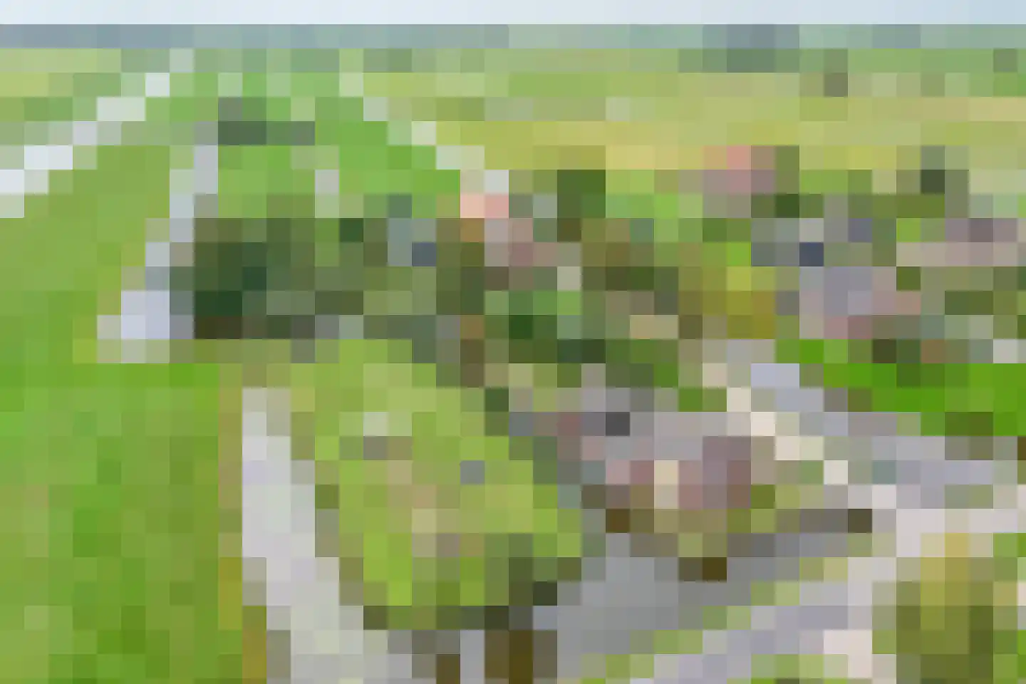 Benedenheulseweg 15 Stolwijk thumbnail 6