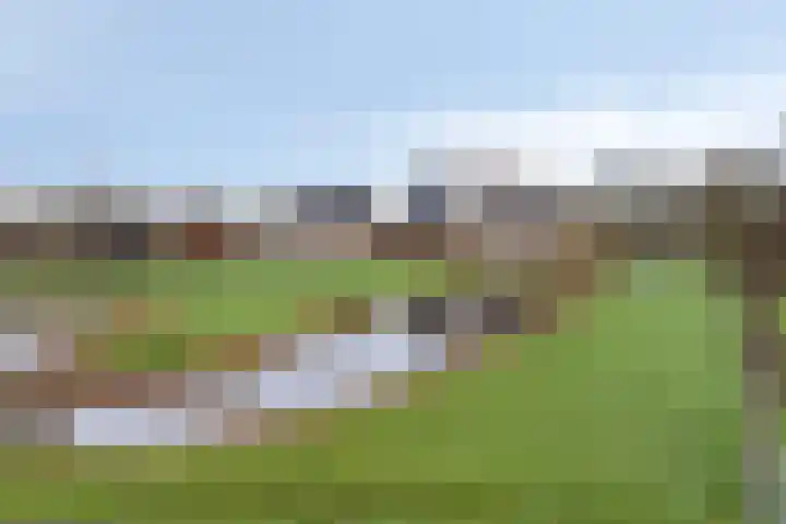 Benedenheulseweg 23 Stolwijk thumbnail 33