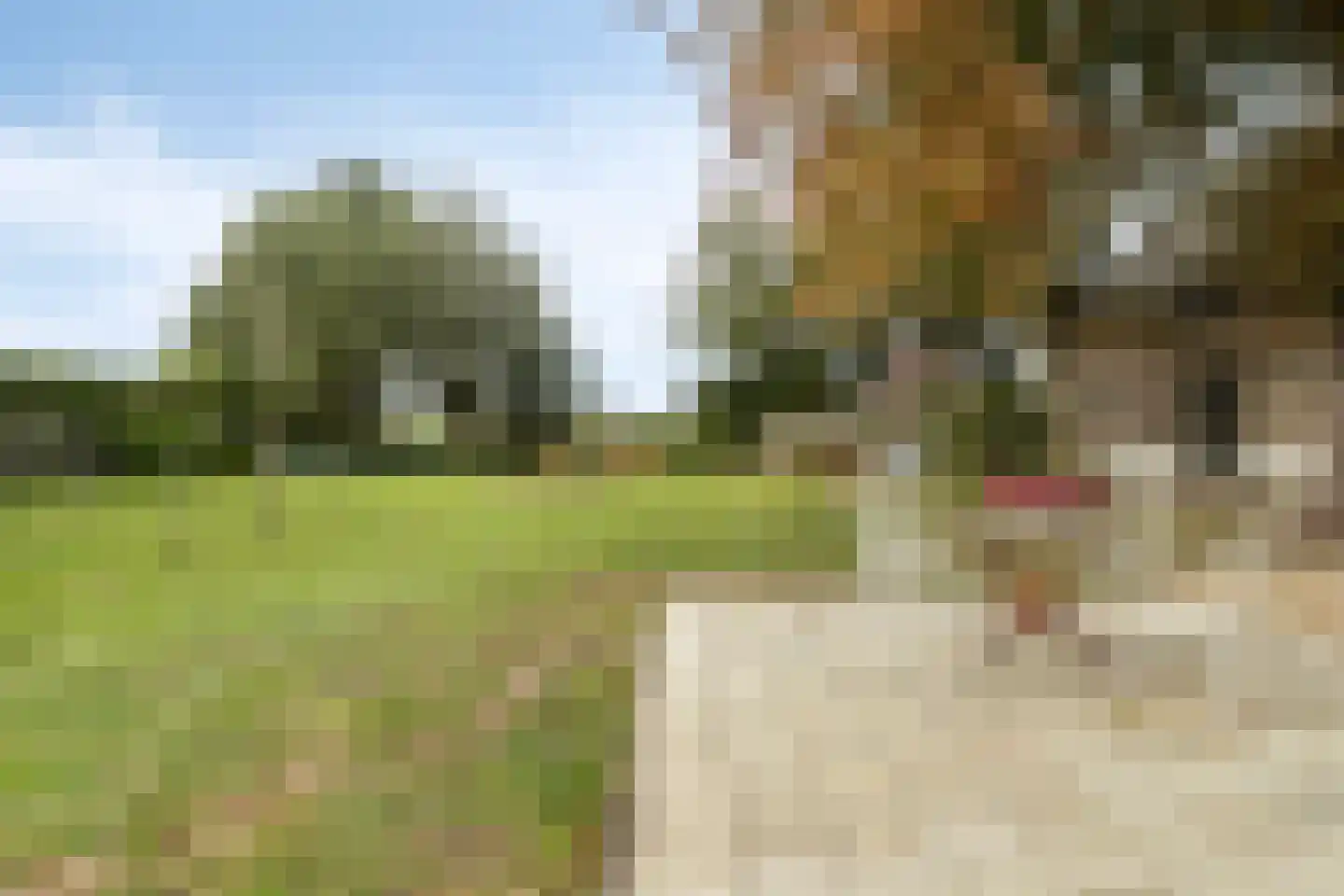 Benedenheulseweg 32 Stolwijk thumbnail 38
