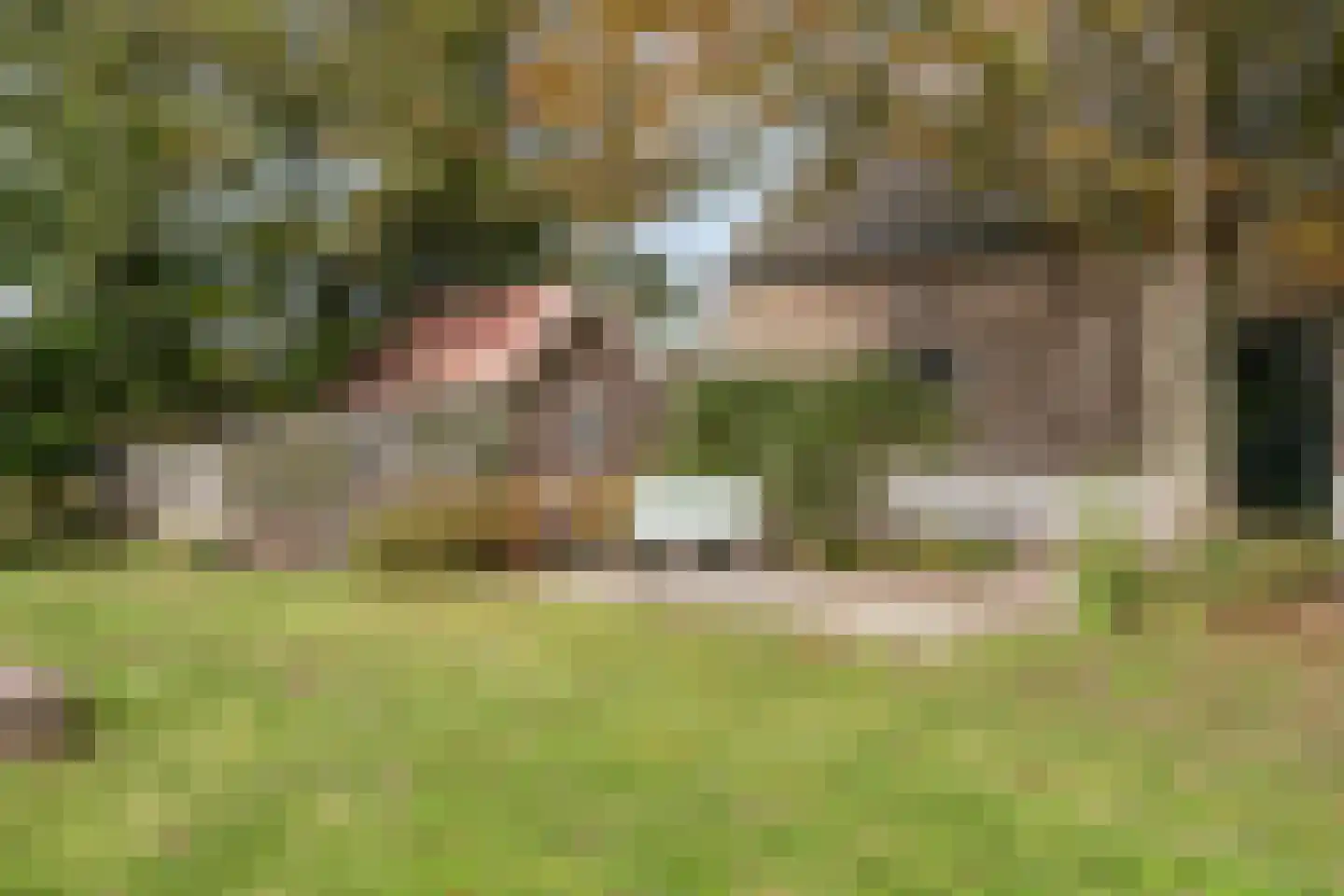 Benedenheulseweg 32 Stolwijk thumbnail 39