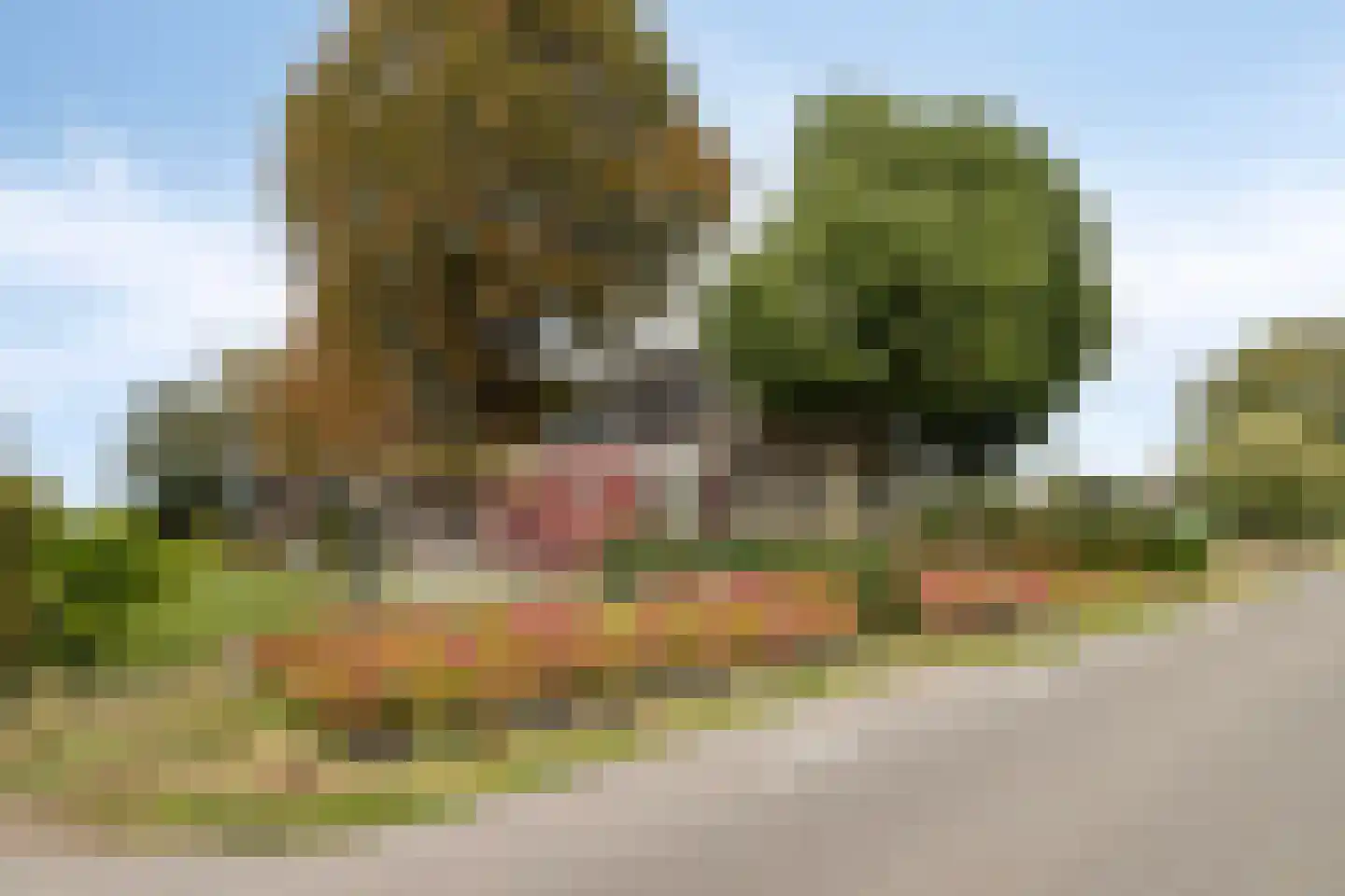 Benedenheulseweg 32 Stolwijk thumbnail 4