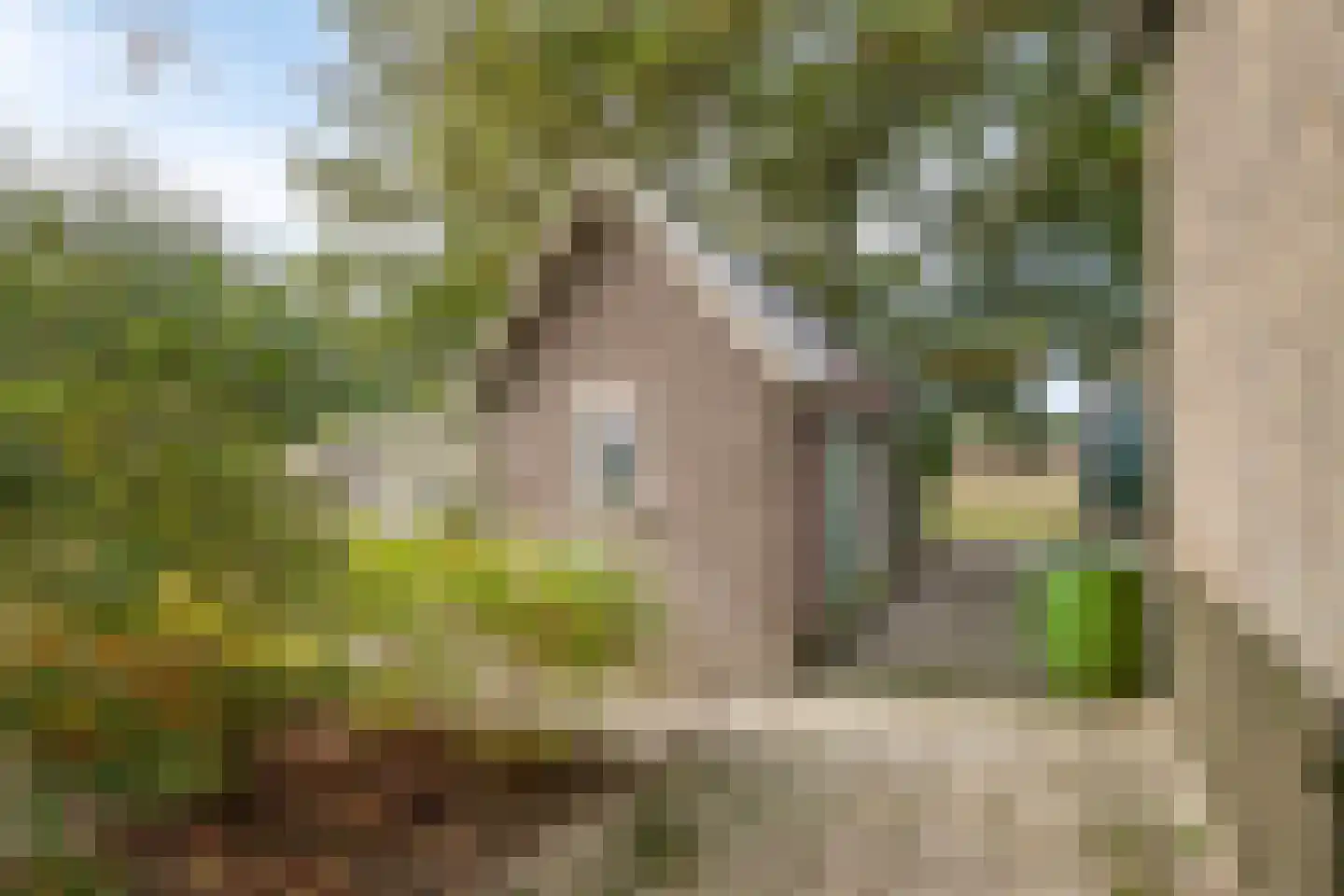 Benedenheulseweg 32 Stolwijk thumbnail 40