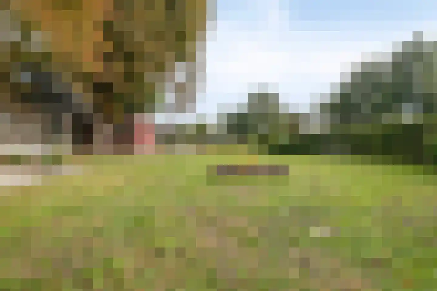 Benedenheulseweg 32 Stolwijk thumbnail 42