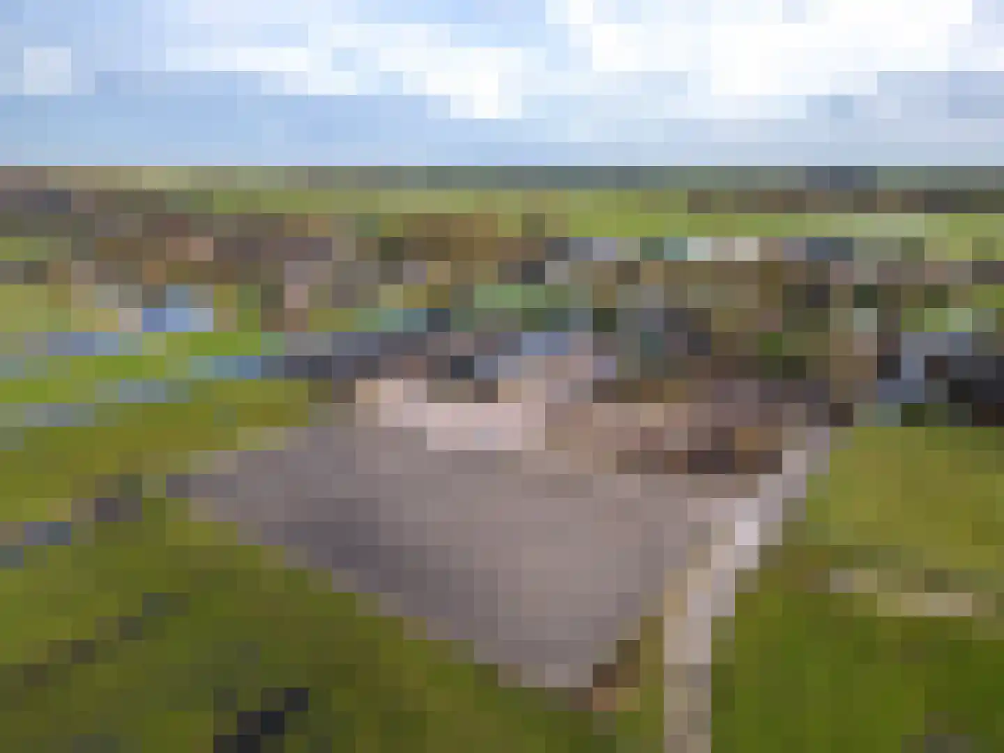 Benedenheulseweg 32 Stolwijk thumbnail 65