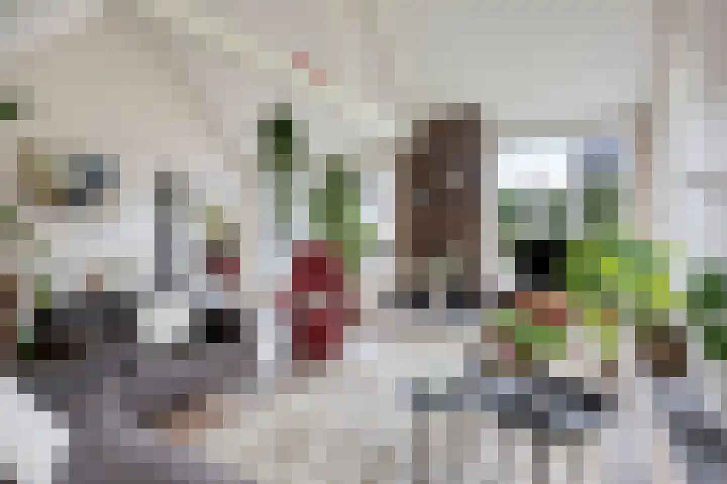 Benedenheulseweg 6 Stolwijk thumbnail 14