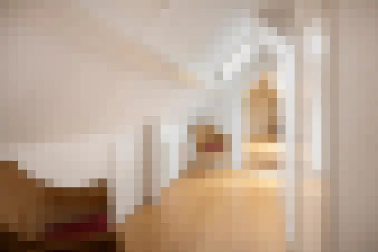 Benedenheulseweg 6 Stolwijk thumbnail 37