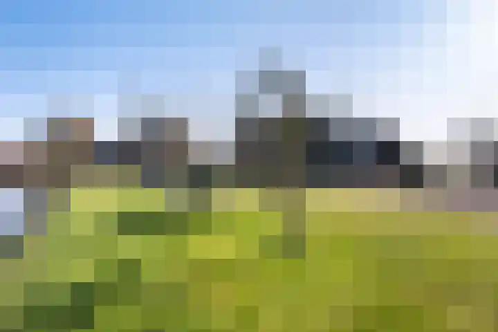 Benedenkerkseweg 108 Stolwijk thumbnail 65