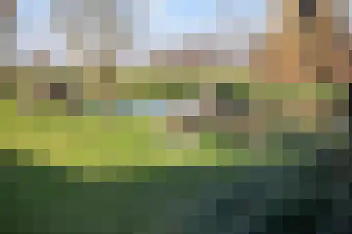 Benedenkerkseweg 108 Stolwijk thumbnail 66
