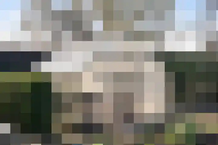 Benedenkerkseweg 108 Stolwijk thumbnail 68