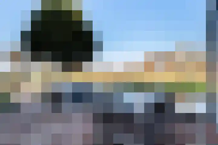 Benedenkerkseweg 108 Stolwijk thumbnail 72