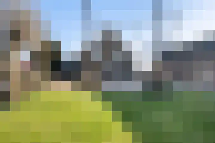 Benedenkerkseweg 108 Stolwijk thumbnail 93