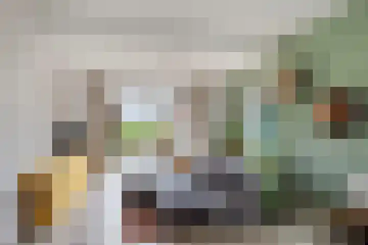 Benedenkerkstraat 25 Waspik thumbnail 13