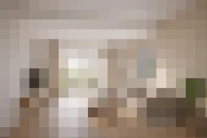 Benedenkerkstraat 25 Waspik thumbnail 14