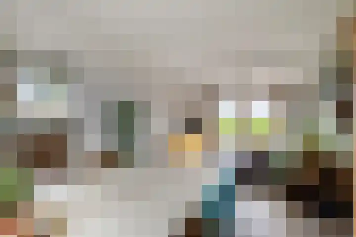 Benedenkerkstraat 25 Waspik thumbnail 17