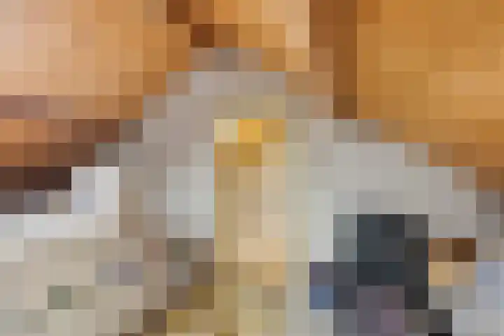 Benedenkerkstraat 25 Waspik thumbnail 35