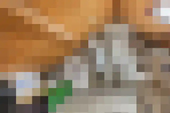 Benedenkerkstraat 25 Waspik thumbnail 37