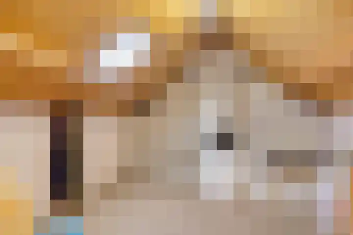 Benedenkerkstraat 25 Waspik thumbnail 38