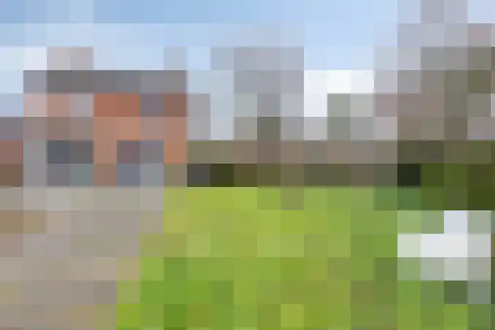 Benedenkerkstraat 25 Waspik thumbnail 40