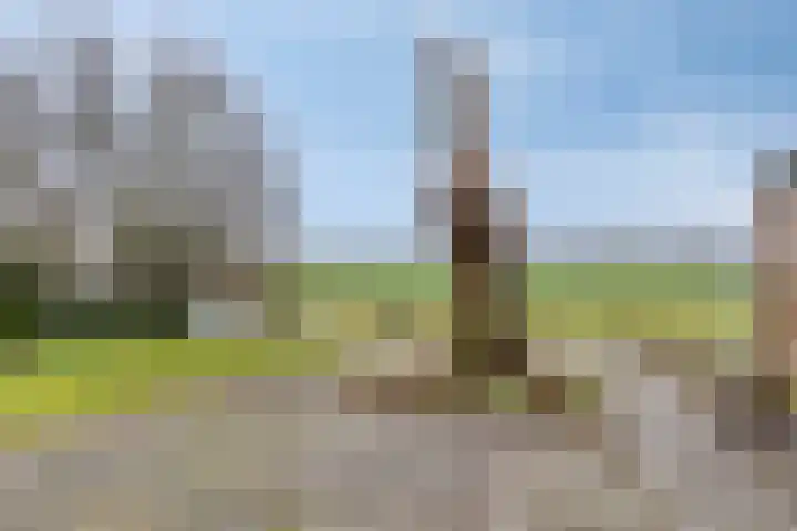 Benedenkerkstraat 25 Waspik thumbnail 42