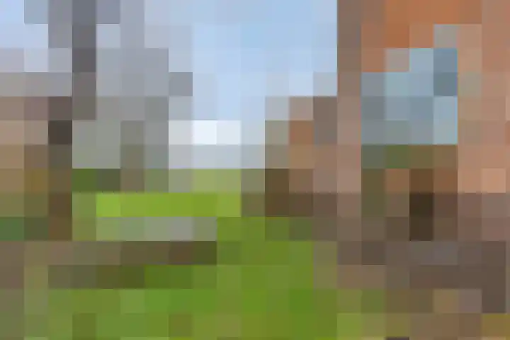 Benedenkerkstraat 25 Waspik thumbnail 43