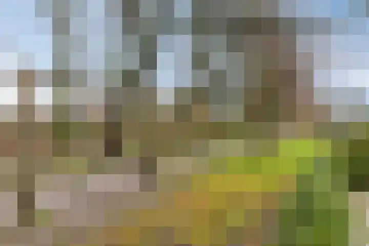Benedenkerkstraat 25 Waspik thumbnail 52