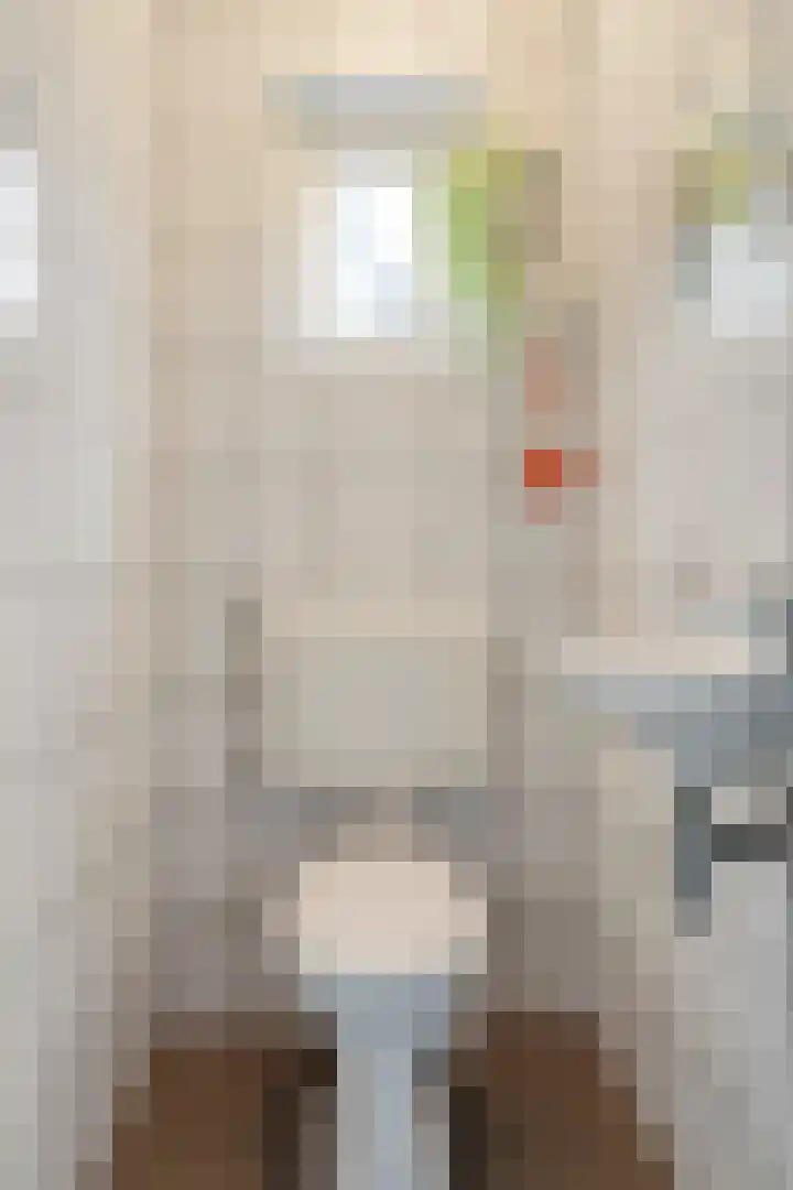 Benedenkerkstraat 25 Waspik thumbnail 8