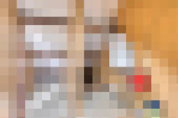 Benedenkerkstraat 32 b Waspik thumbnail 29