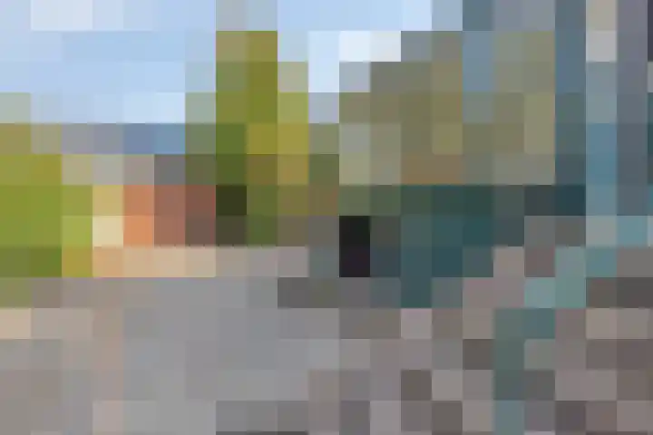 Benedenkerkstraat 32 b Waspik thumbnail 34