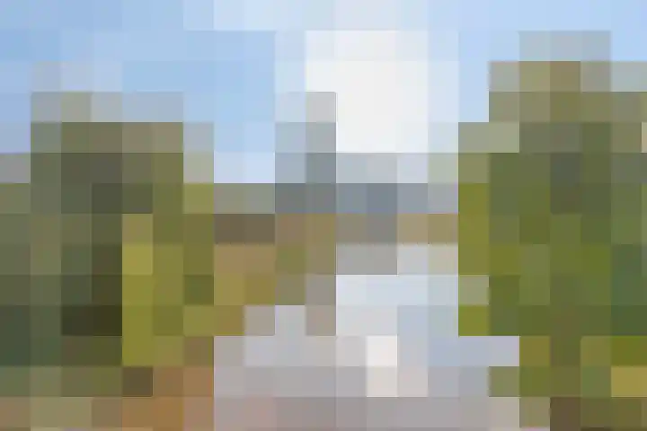 Benedenkerkstraat 32 b Waspik thumbnail 43