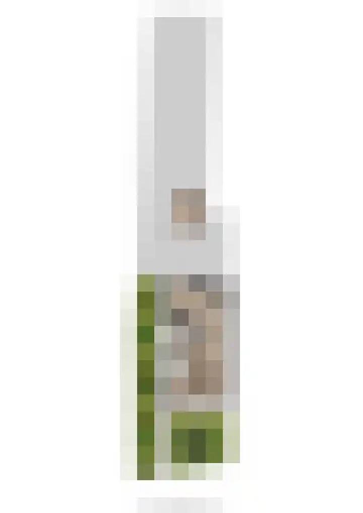 Benedenkerkstraat 32 b Waspik thumbnail 47