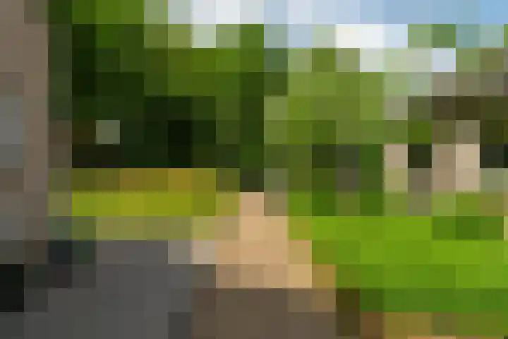 Benedenkerkstraat 80 Waspik thumbnail 4