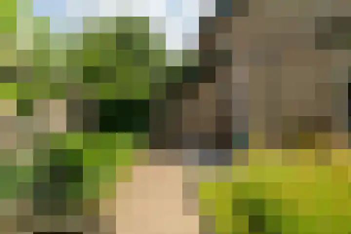 Benedenkerkstraat 80 Waspik thumbnail 5
