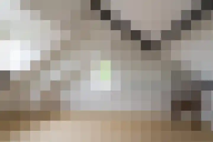 Benedenkerkstraat 80 Waspik thumbnail 51