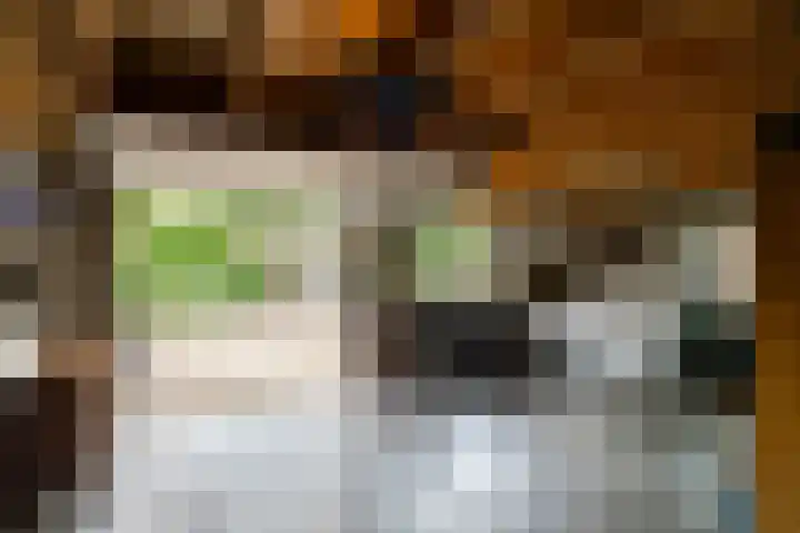 Benedenkerkstraat 80 Waspik thumbnail 56