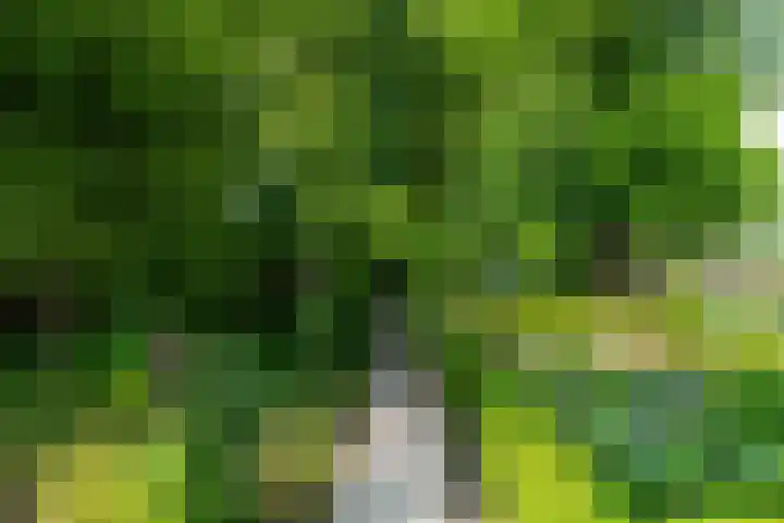 Benedenkerkstraat 80 Waspik thumbnail 8