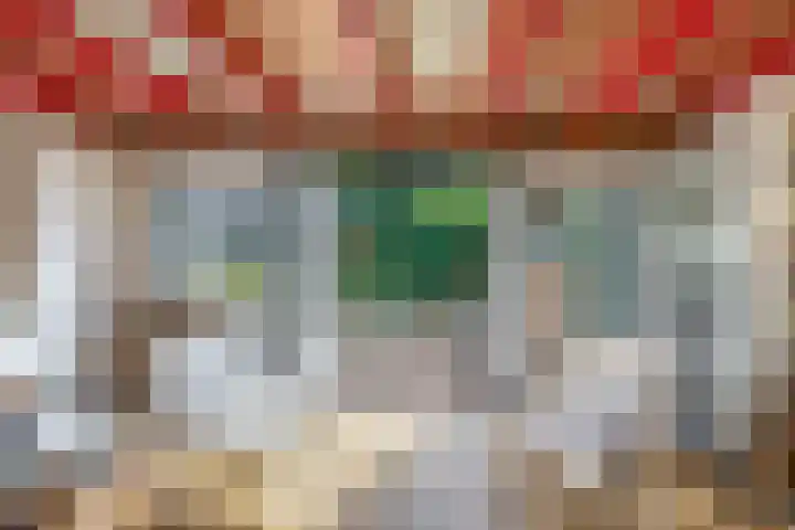 Benedenkerkstraat 81 Waspik thumbnail 23