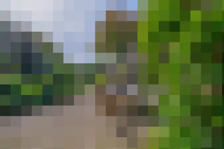 Benedenkerkstraat 81 Waspik thumbnail 32