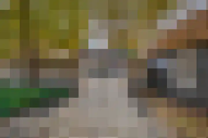 Benedenkerkstraat 81 Waspik thumbnail 4