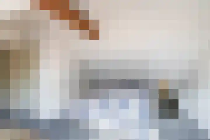 Benedenkerkstraat 81 Waspik thumbnail 55