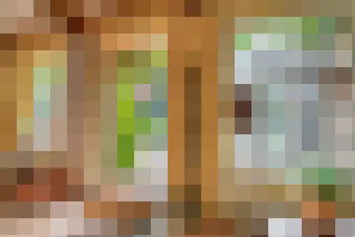 Benedenkerkstraat 81 Waspik thumbnail 6